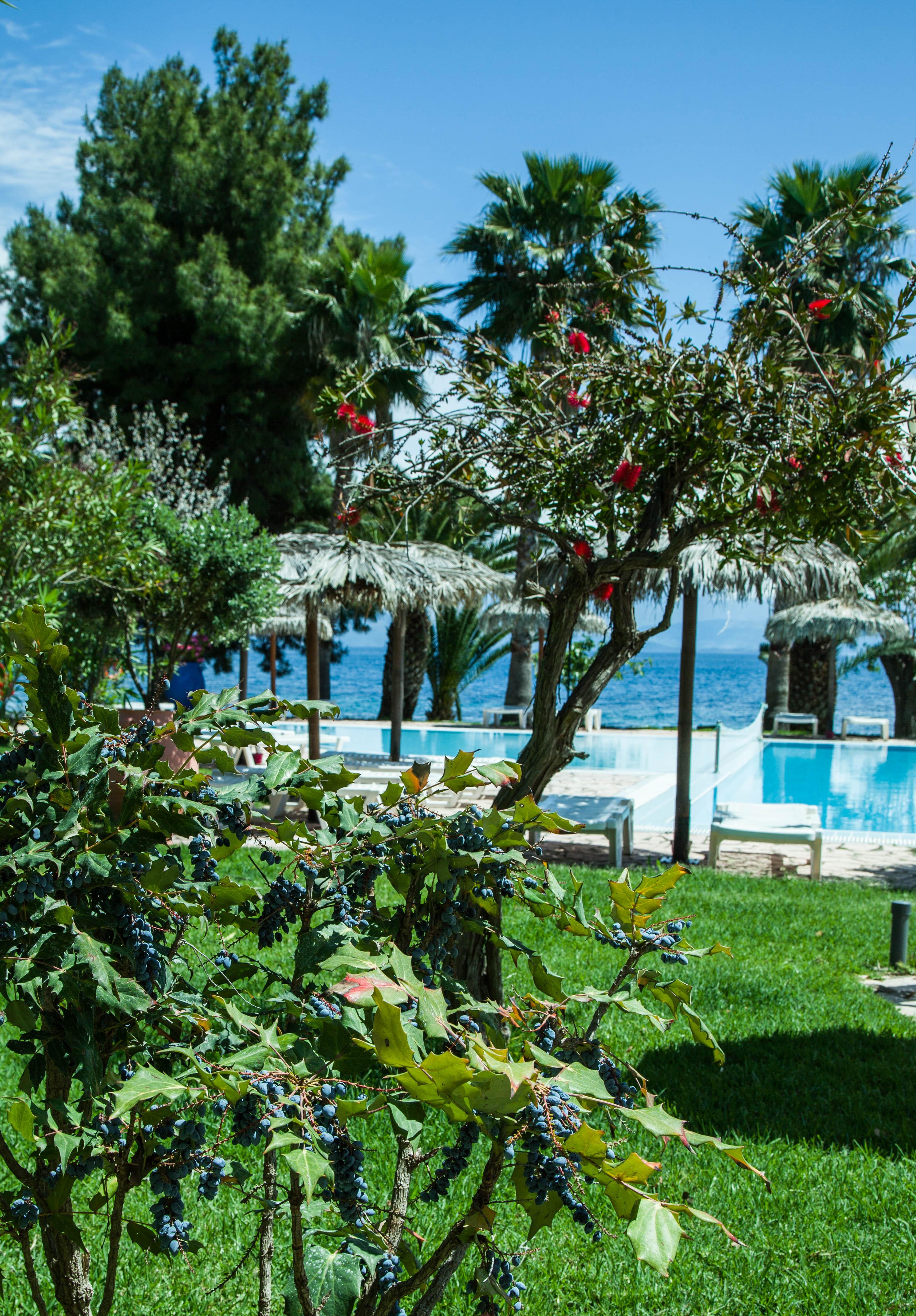 Corfu Senses Resort 阿基奥斯·伊奥尼斯·佩里斯特 外观 照片