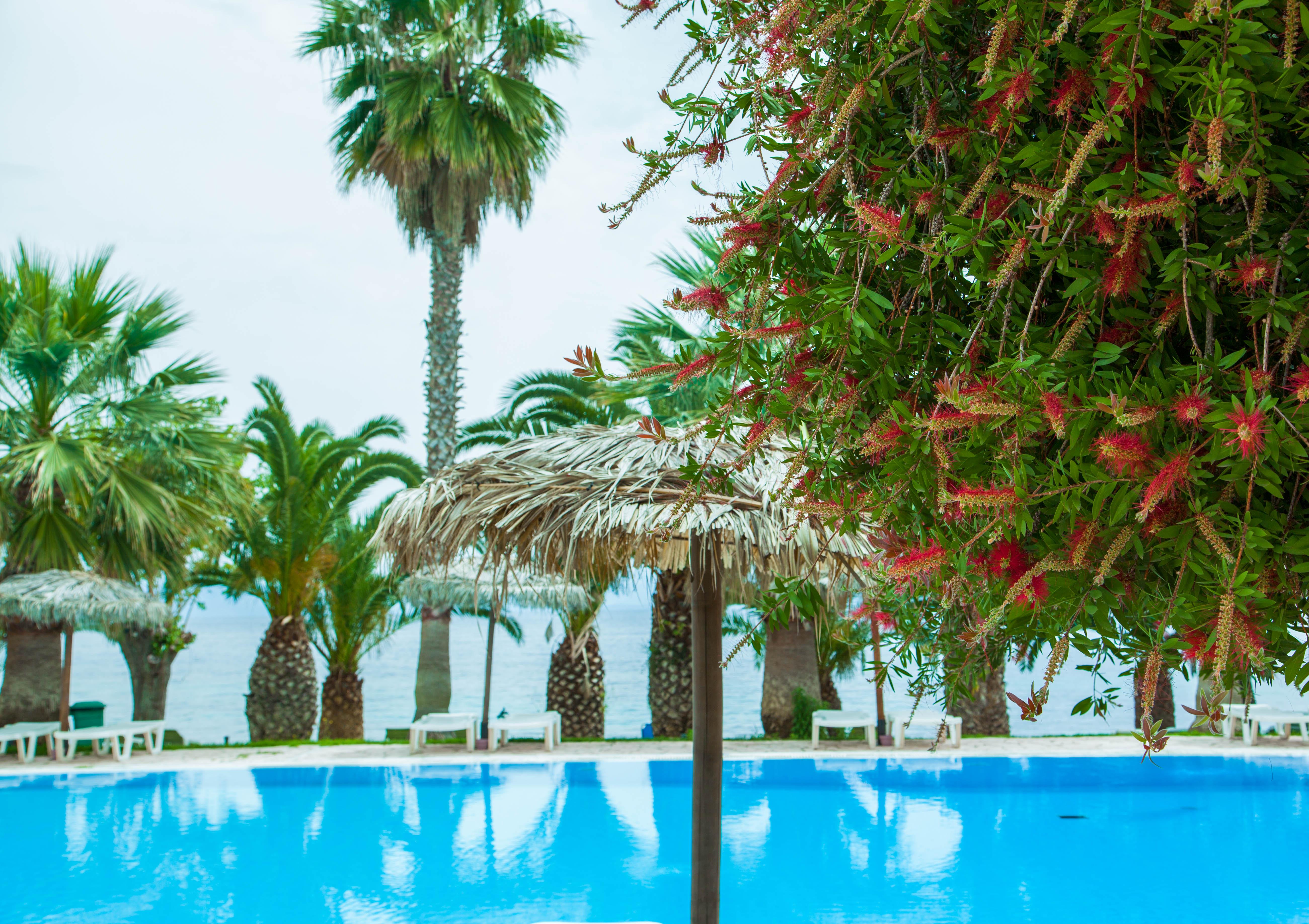 Corfu Senses Resort 阿基奥斯·伊奥尼斯·佩里斯特 外观 照片